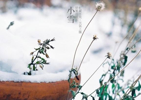 今天是小雪，將正式步入冬天嚴寒階段。