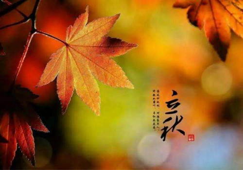 立秋已到，僑洋實業小編提醒你酷暑即將結束咯！