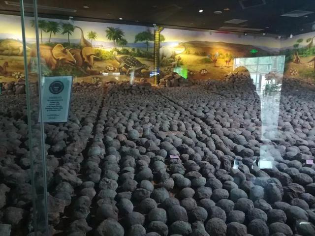 國際博物館日，僑洋實業環形變壓器廠家與您有個約會